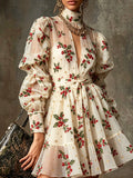 Cream Embroidered Tulle Mini Dress