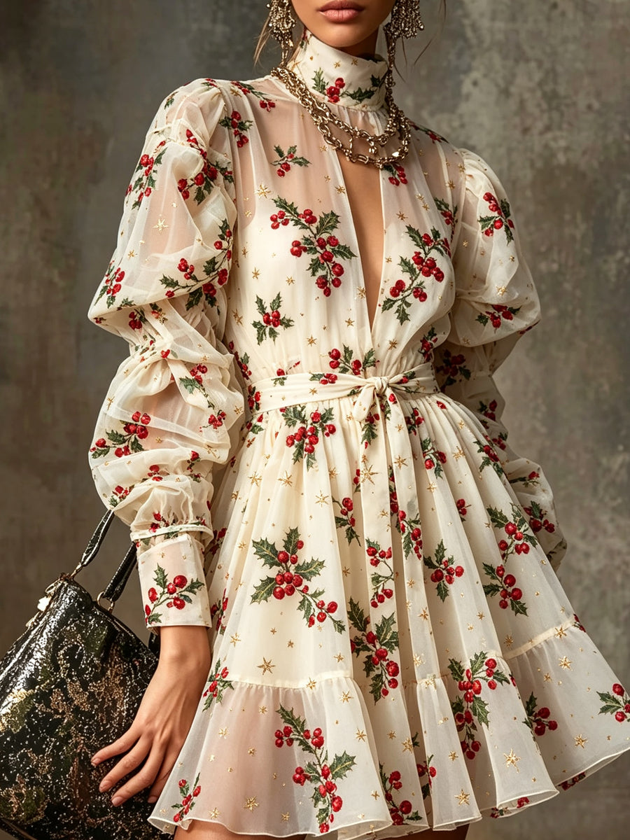 Cream Embroidered Tulle Mini Dress